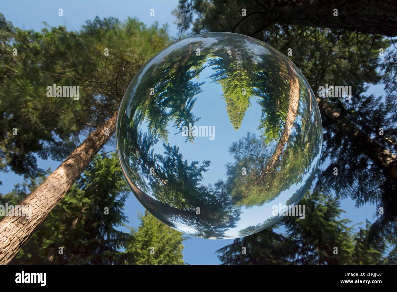 Kyloe Woods et vu à travers une boule de cristal Banque D'Images