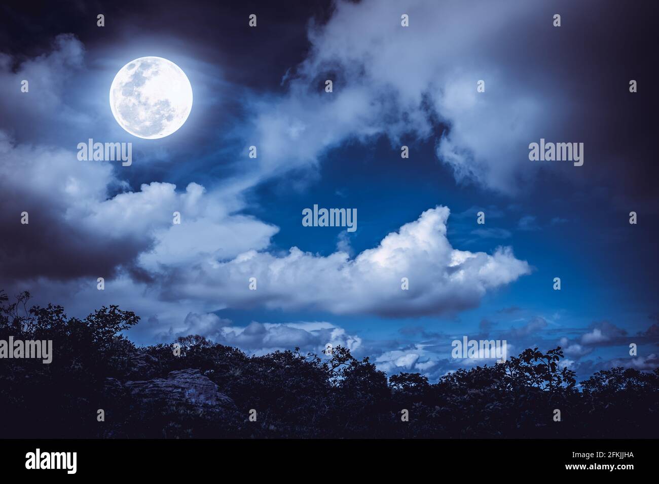 Silhouettes d'arbre et ciel nocturne avec des nuages, pleine lune lumineuse ferait un arrière-plan superbe. Beauté de la nature. La lune n'était PAS meublée par NA Banque D'Images