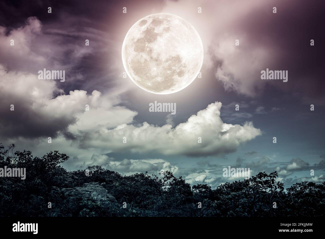 Silhouettes d'arbre et ciel nocturne avec des nuages, lumineux grande pleine lune ferait un grand fond. Beauté de la nature. La lune n'était pas meublée Banque D'Images