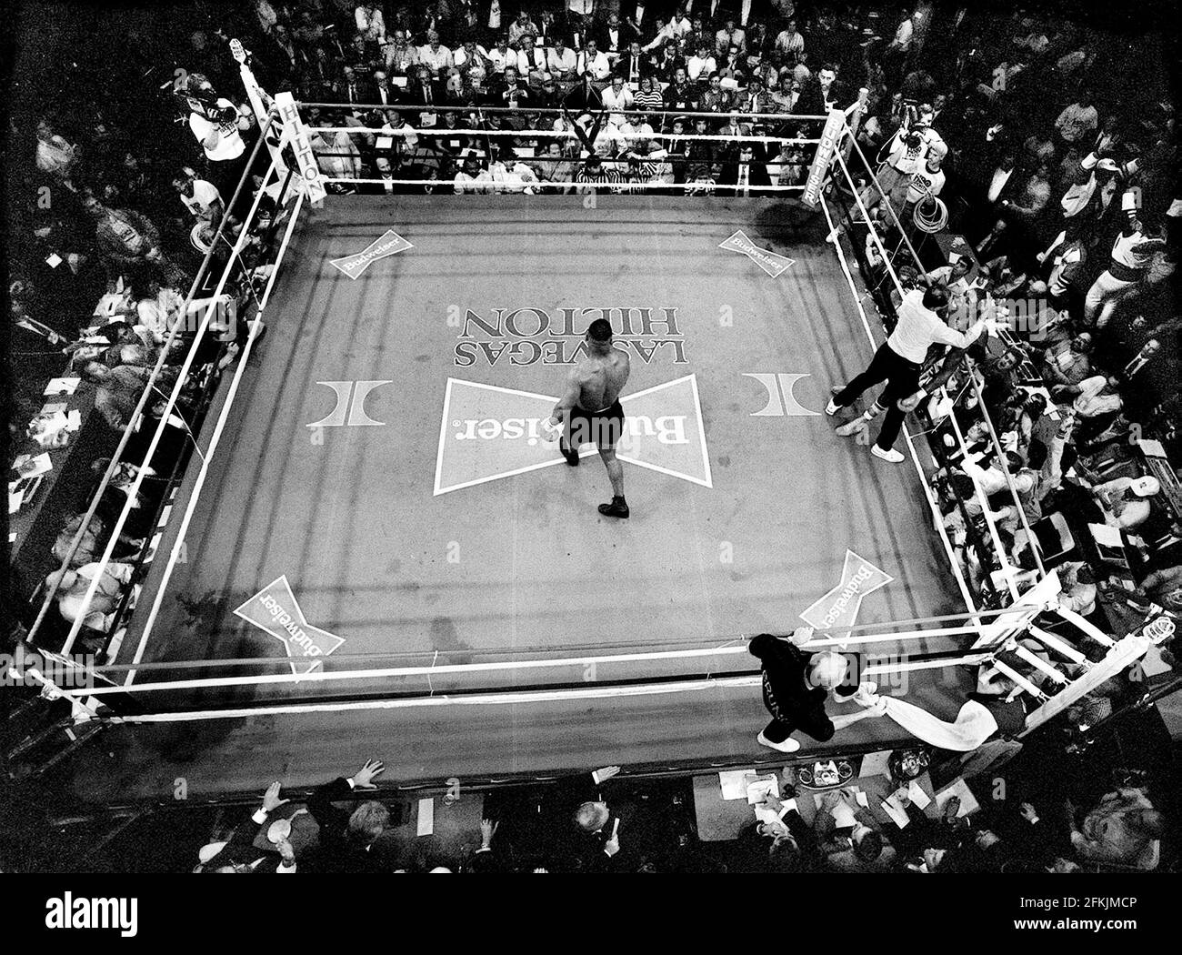 MIKE TYSON V FRANK BRUNO AU HILTON DE LAS VAGUS FÉV 1989. PHOTO DAVID ASHDOWN. Banque D'Images