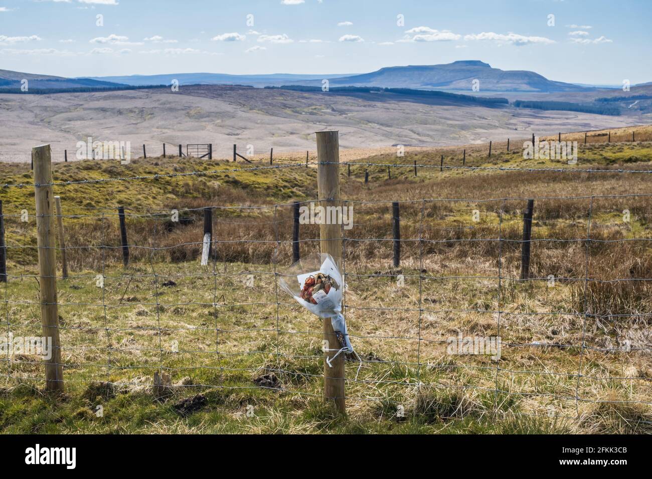 Des ventilateurs sont partis en l'honneur de quelqu'un de l'autre côté d'Ingleborough dans le Yorkshire Dales Banque D'Images
