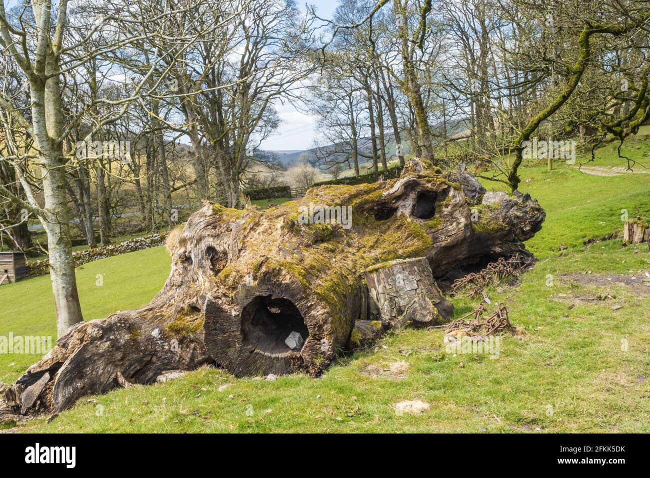 Le Dales Way est un sentier de 80 kilomètres de long dans le nord de l'Angleterre, depuis Ilkley, West Yorkshire, jusqu'à Bowness-on-Windermere, Cumbria. Banque D'Images