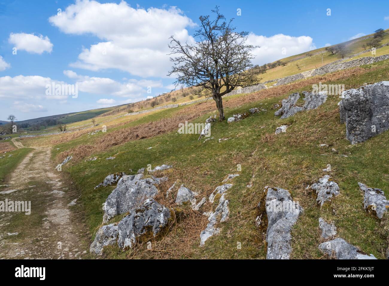 Le Dales Way est un sentier de 80 kilomètres de long dans le nord de l'Angleterre, depuis Ilkley, West Yorkshire, jusqu'à Bowness-on-Windermere, Cumbria. Banque D'Images