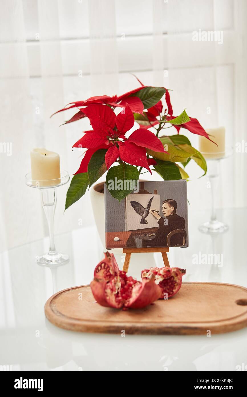 Kiev, Ukraine: Février, 28 - concept du matin avec café, guimauve au chocolat et grenade. Fleur de Noël. Concept de maison confortable. Photo de haute qualité Banque D'Images