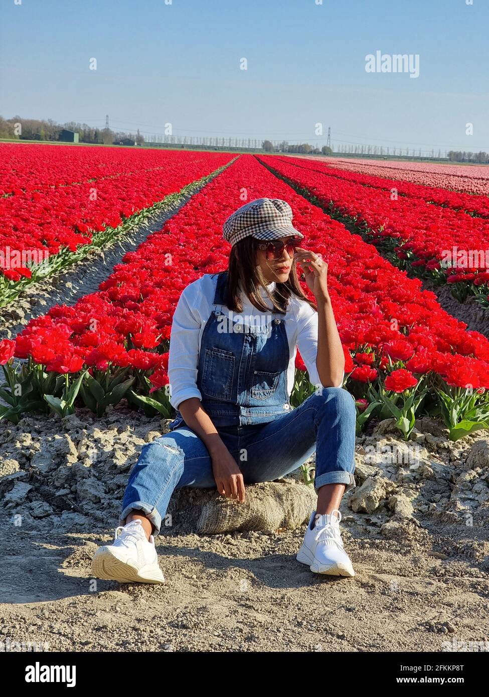 Champ de tulipes aux pays-Bas, champs de tulipes colorés à Flevoland  Noordoosstpolder Hollande, vues de printemps néerlandais aux pays-Bas,  femme de milieu d'âge dans champ de fleurs Photo Stock - Alamy