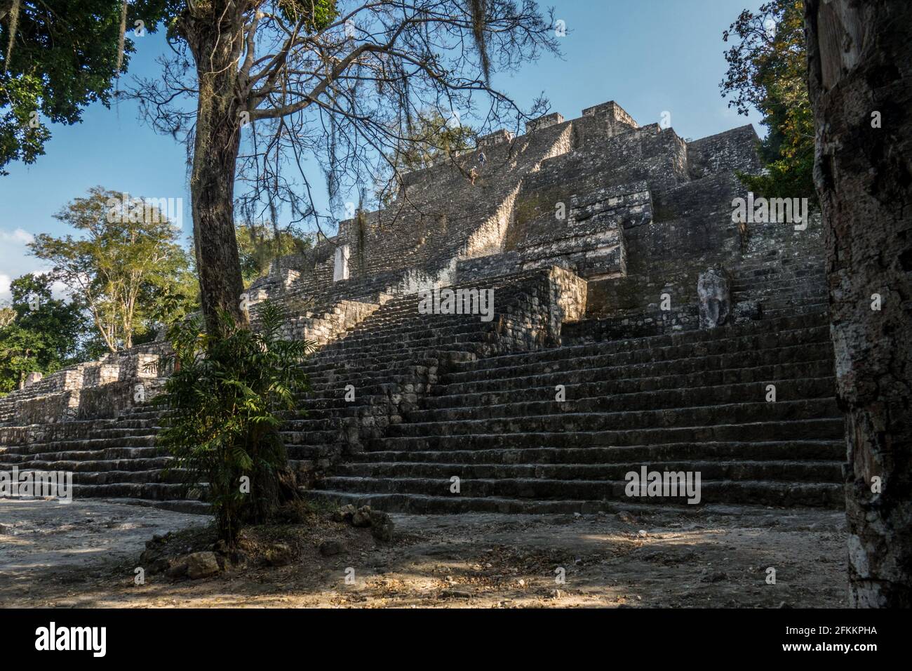 Calakmul fue habitada entre el año 500 antes de Cristo y hasta el 1000 de nuestra Era. Se han localizado 525 sitios arqueológicos con 62150 estructura Banque D'Images