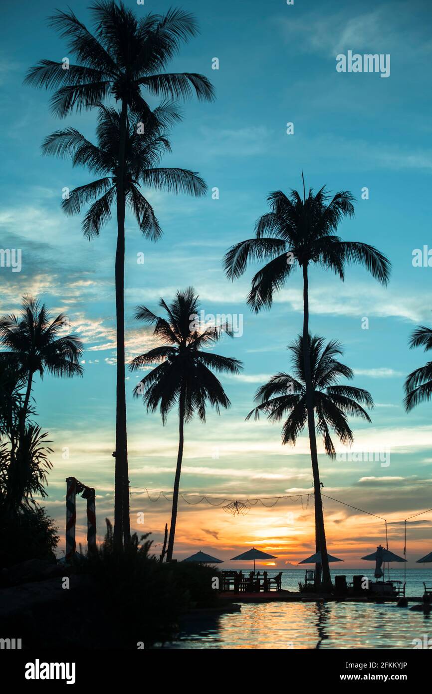 Silhouettes de palmiers sur la plage tropicale pendant le coucher de soleil étonnant. Banque D'Images