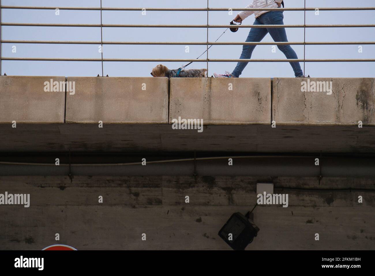 personne marchant un chien et traversant un pont. vue Banque D'Images