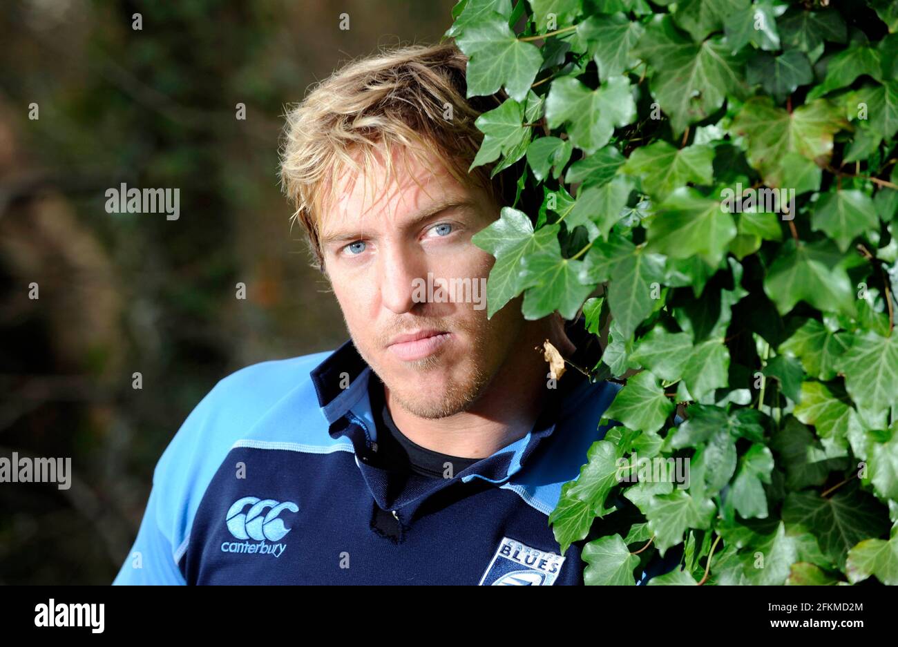 Andy Powell avec le Cardiff Blues Rugby Club. 11/12/2008. PHOTO DAVID ASHDOWN Banque D'Images