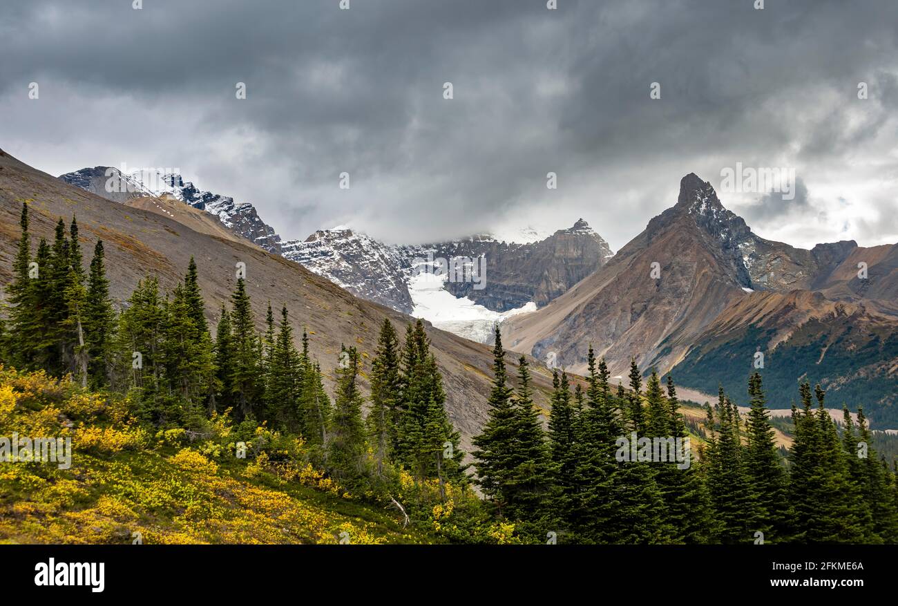 Vue sur les montagnes et les glaciers, le mont Athabasca et le pic Hilda en automne, Parker Ridge, Icefields Parkway, parc national Jasper Banque D'Images