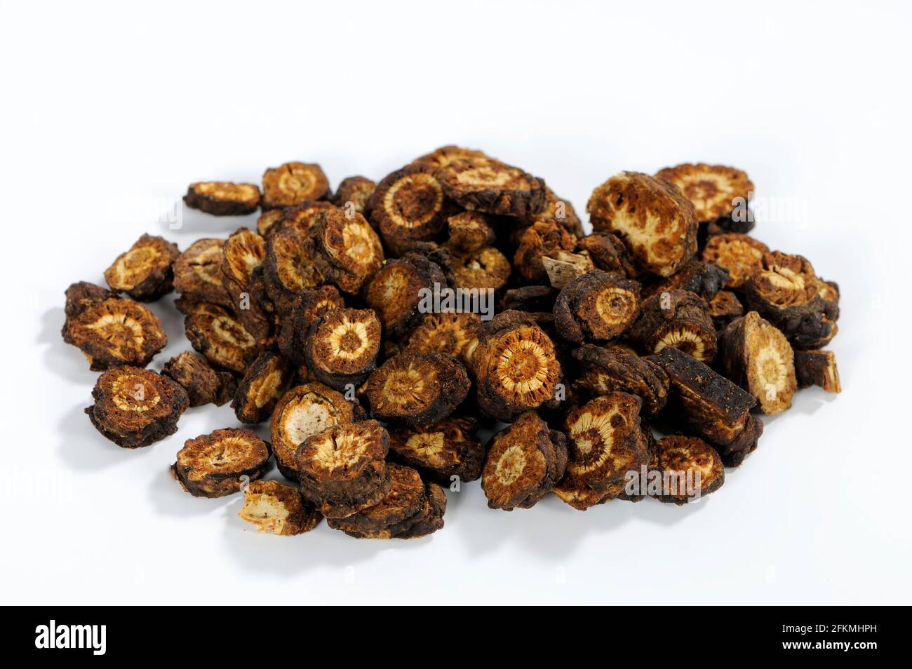 Rhizome de Notopterygium incisé (Notopterygii Rhizoma seu Radix), rhizome de Forbes Notopterygium, Qiang Huo, excisé, objet Banque D'Images