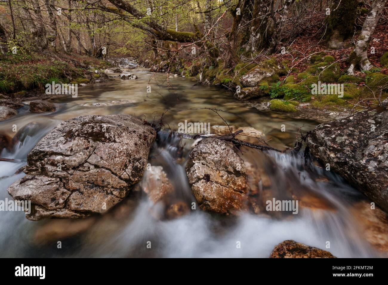 Fondillo River, Val Fondillo, Abruzzo, Latium et Molise National Park, Abruzzo, Italie, Europe Banque D'Images