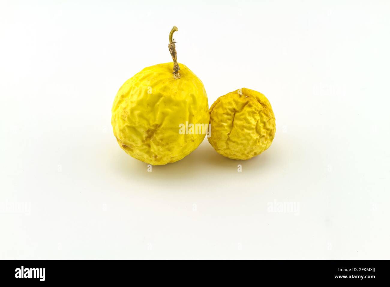 Gros plan jaune sec de fruit de la passion (Passiflora edulis) sur fond blanc Banque D'Images