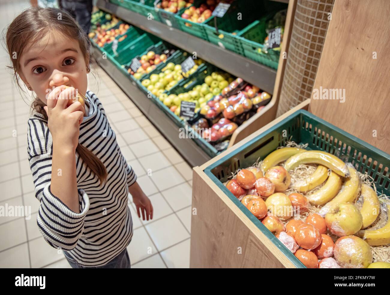 Petite fille l'achat de fromage dans un supermarché. Maintenez l'enfant  petit panier en supermarché et sélectionnez le fromage de vitrine de  magasin. Concept pour les enfants sélection Photo Stock - Alamy