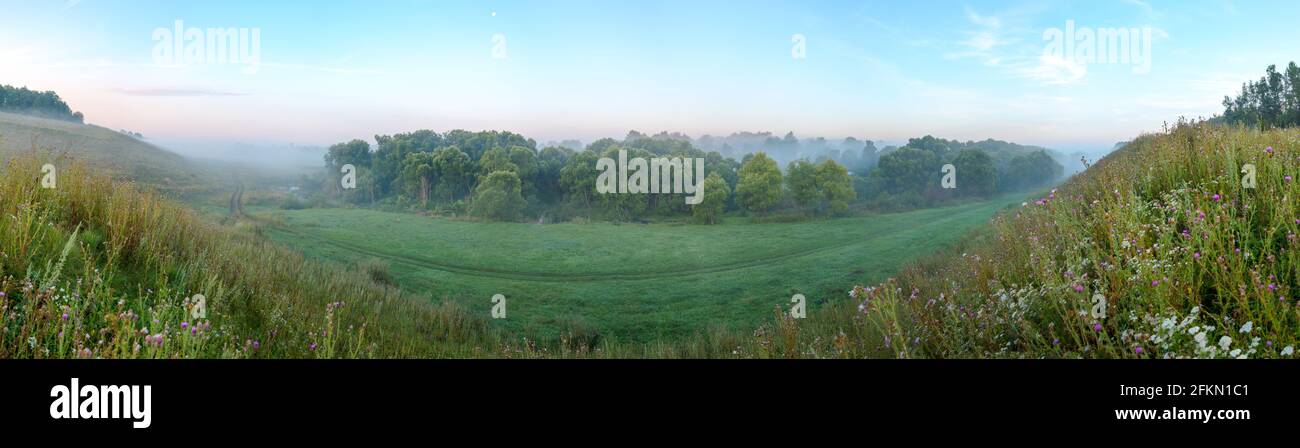 Vue panoramique d'été de la forêt brumeux et creux avec la route de terre rurale avant le lever du soleil.matin scène calme. Banque D'Images