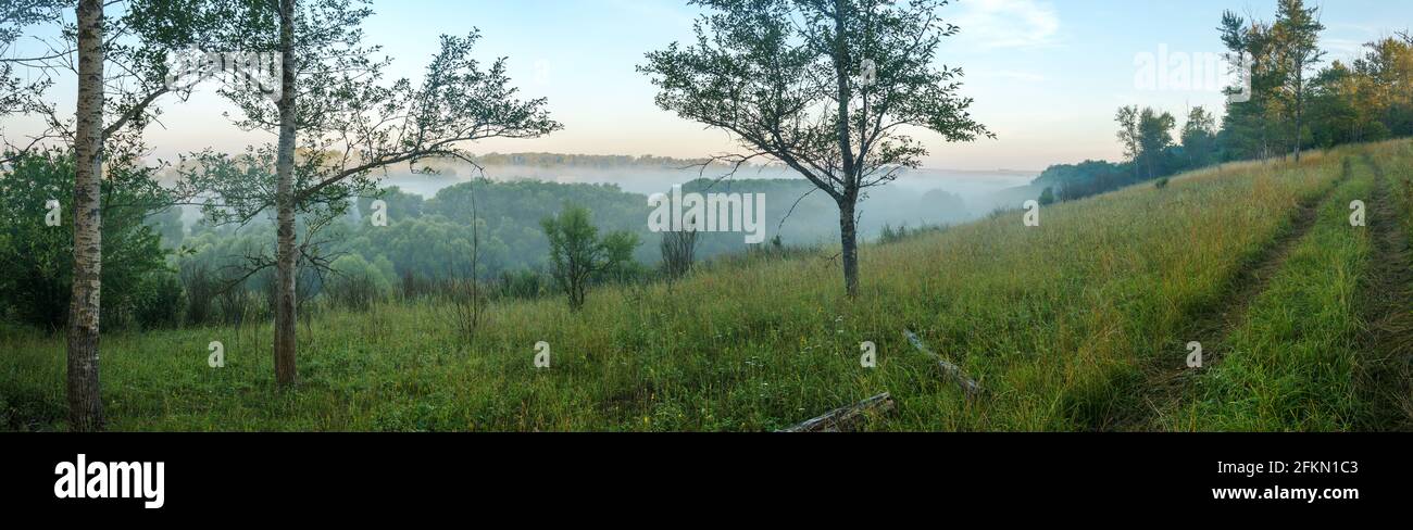 Paysage panoramique d'été serein avec des collines verdoyantes et des arbres forêt le matin brumeux Banque D'Images