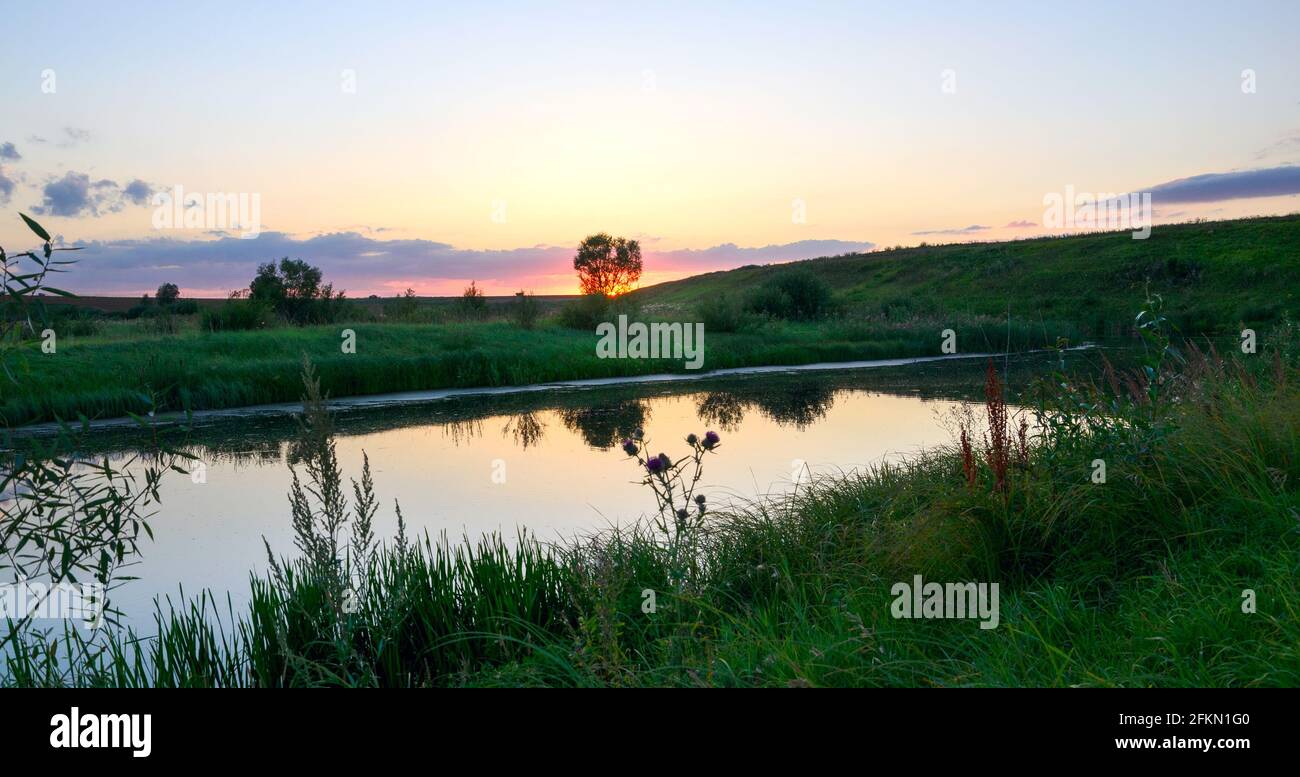 Magnifique paysage d'été avec rivière calme et arbres verts au coucher du soleil.sérénité du soir. Banque D'Images