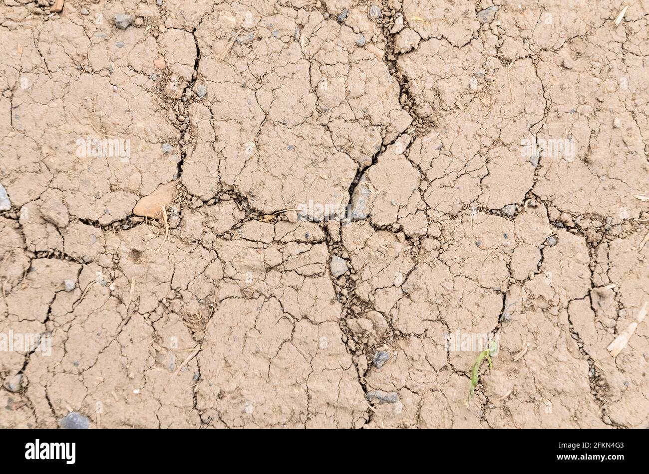 Sol sec, sol boueux fissuré, boue séchée avec des fissures, vue de la pose plate directement au-dessus, arrière-plan abstrait naturel ou papier peint Banque D'Images