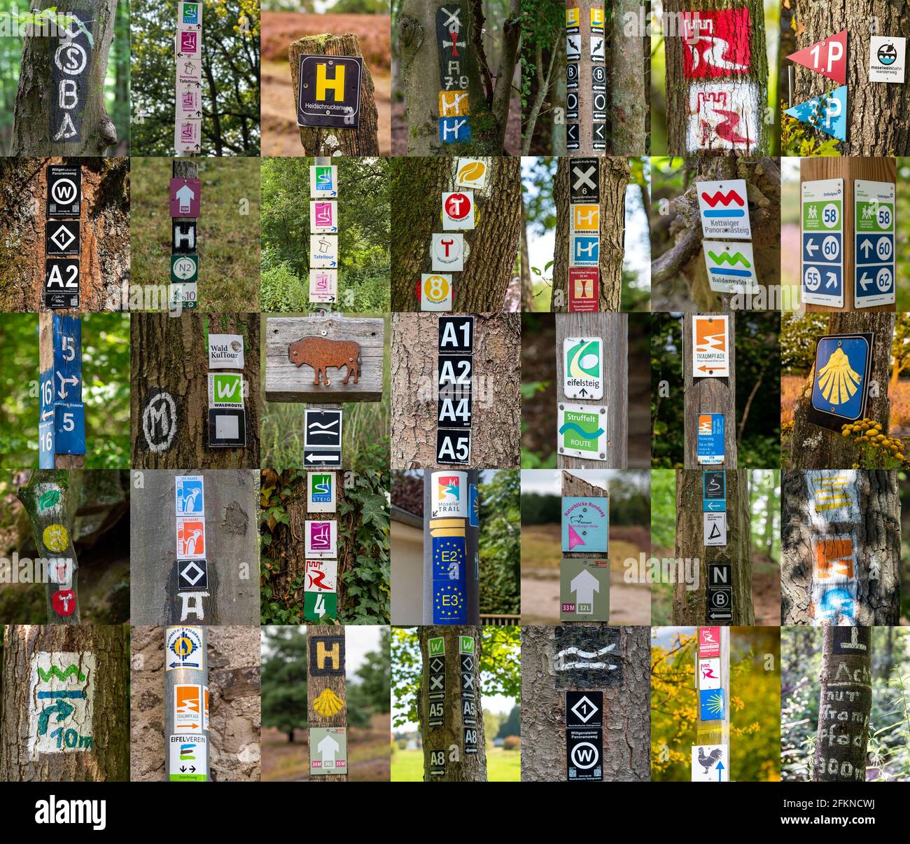 Collection de panneaux de randonnée pédestre, sentiers de randonnée, signalisation de randonnées, symboles de visite principalement sur les arbres, panneaux, Allemagne Banque D'Images