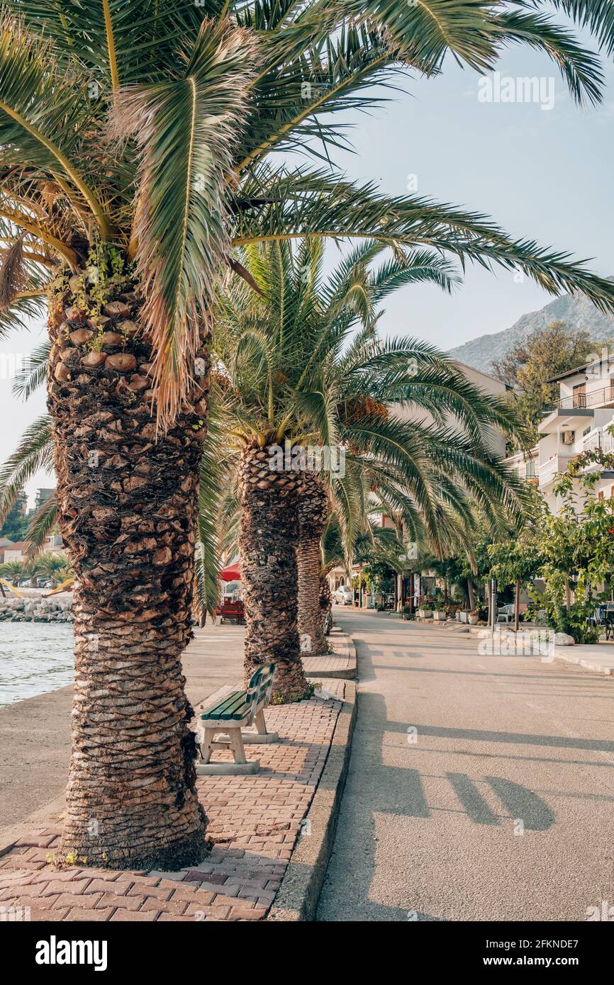 Belle vue d'été de la vieille ville de Trogir en Croatie Banque D'Images