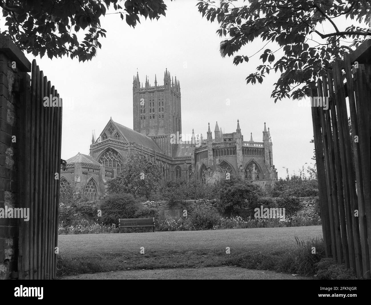 Années 1950, historique, extérieur de la cathédrale de Wells, Angleterre, Royaume-Uni, une cathédrale anglian à Wells, Somerset construit dans le style architectural gothique. Banque D'Images