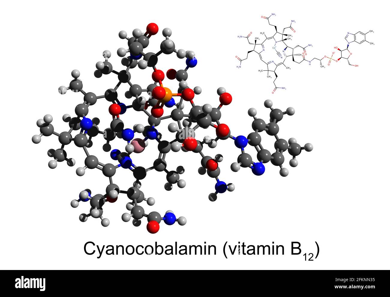 Formule squelettique et modèle 3D boule-et-bâton de vitamine B12 (cyanocobalamine), fond blanc Banque D'Images
