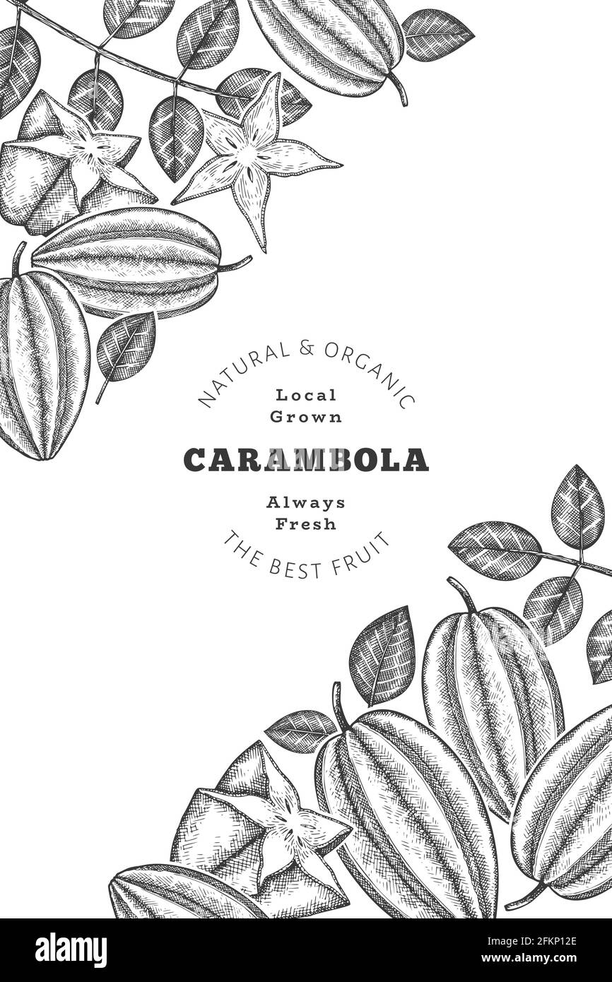 Bannière carambola de style esquisse dessinée à la main. Illustration vectorielle de fruits frais biologiques. Modèle rétro fruit design Illustration de Vecteur