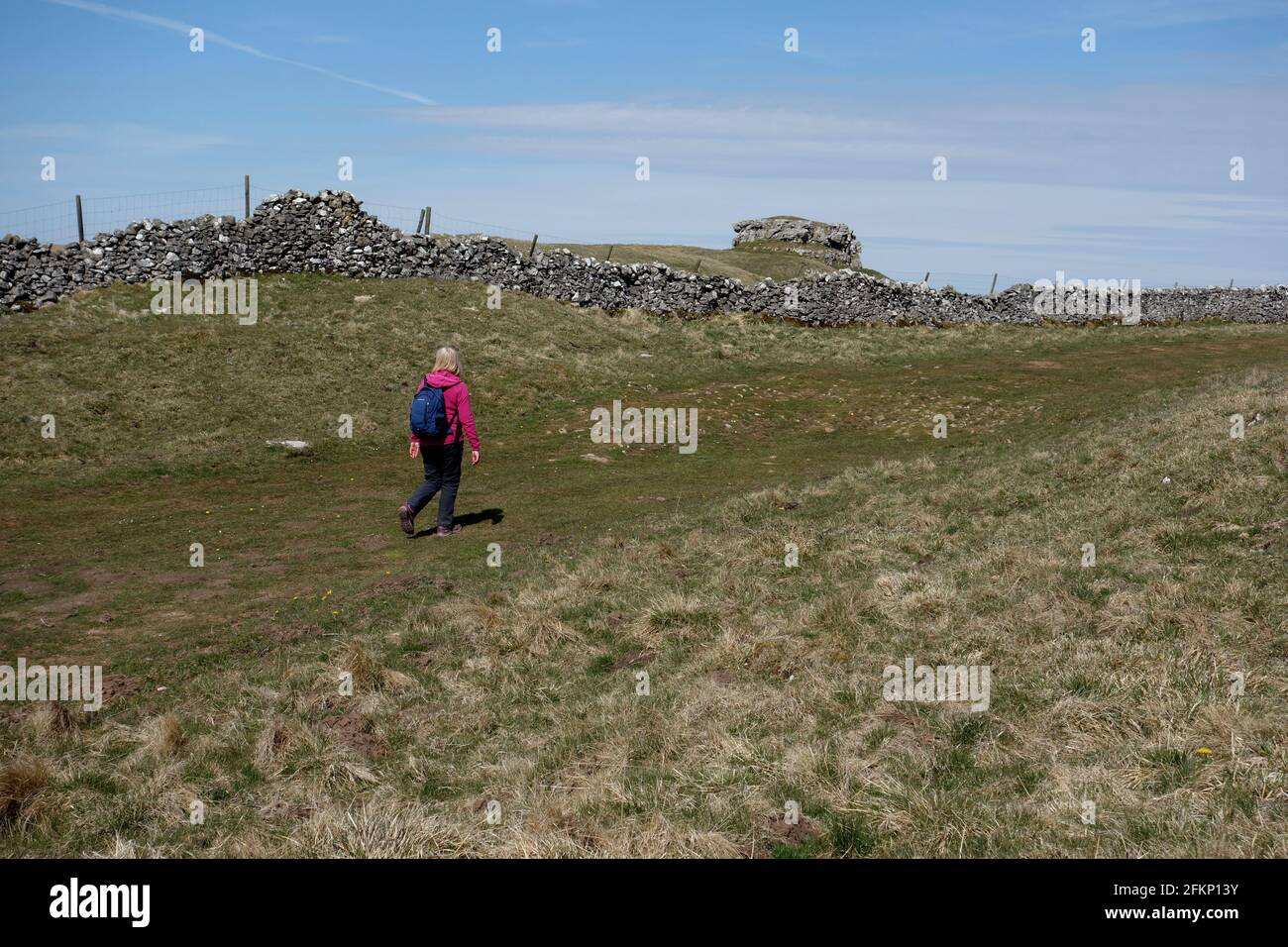 Femme marchant à côté de Conistone Pie entre Kettlewell et Grassington sur le sentier longue distance de Dales Way dans le parc national de Yorkshire Dales, Angleterre. Banque D'Images