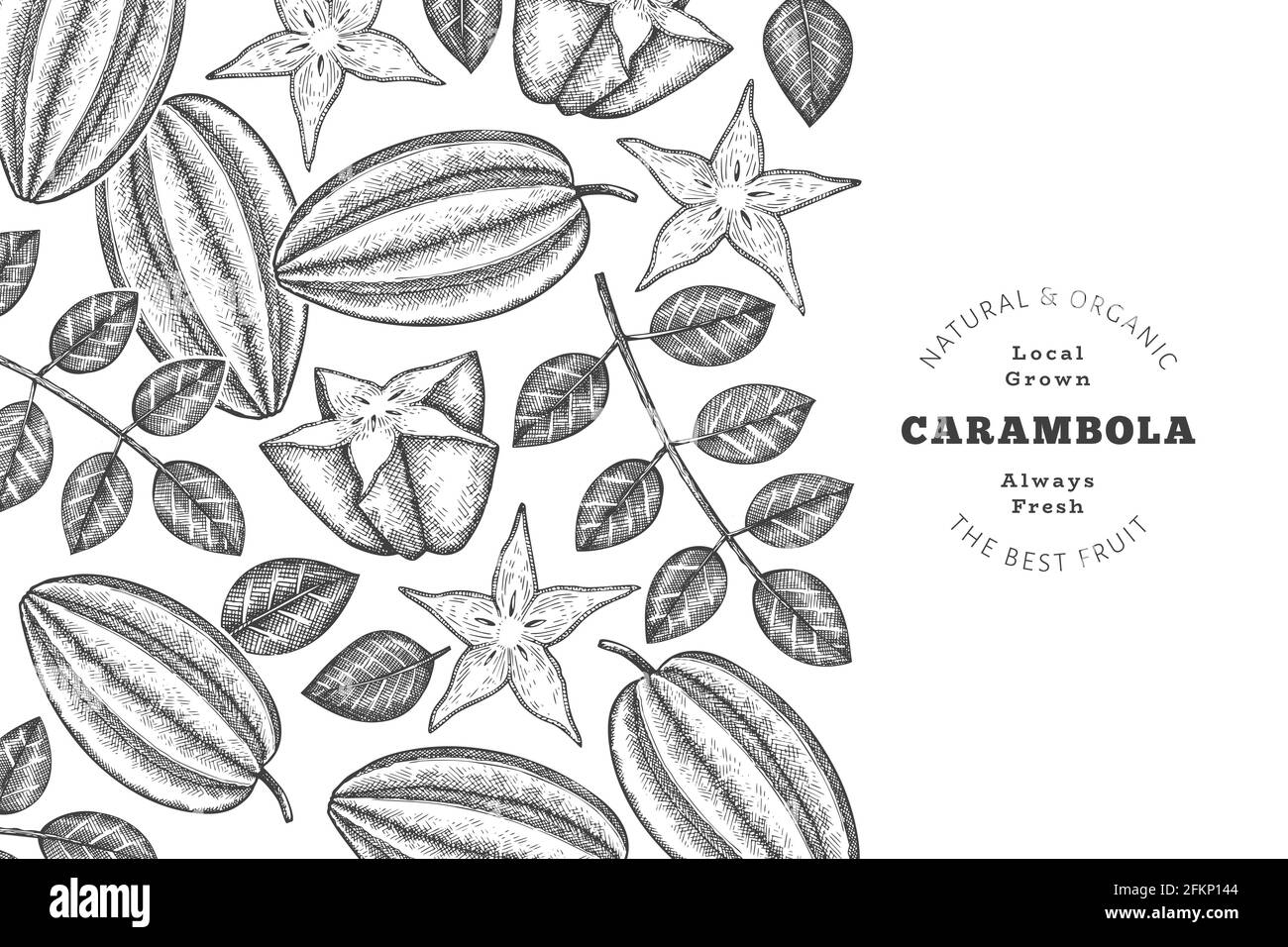 Bannière carambola de style esquisse dessinée à la main. Illustration vectorielle de fruits frais biologiques. Modèle rétro fruit design Illustration de Vecteur