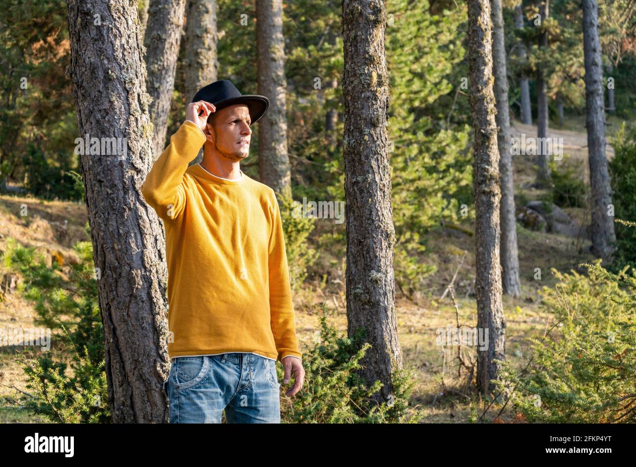 Homme en chapeau noir dans la forêt.Portrait de cow-boy touristique caucasien En chandail jaune dans la forêt au coucher du soleil. Magnifique paysage fond avec copy spa Banque D'Images