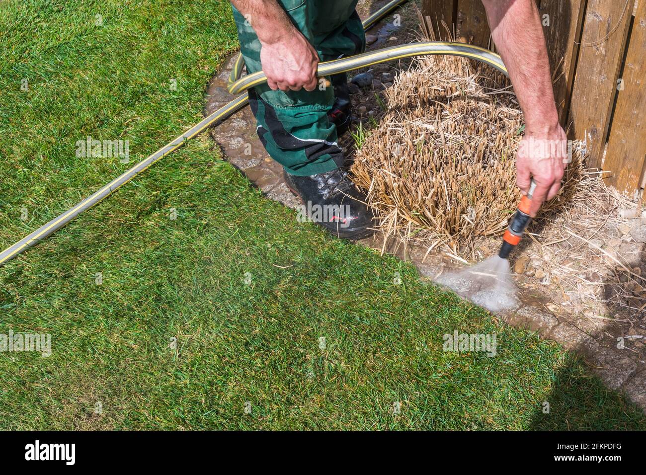 Jardinier arrosoir le bord de la pelouse fraîchement posée avec un flexible Banque D'Images