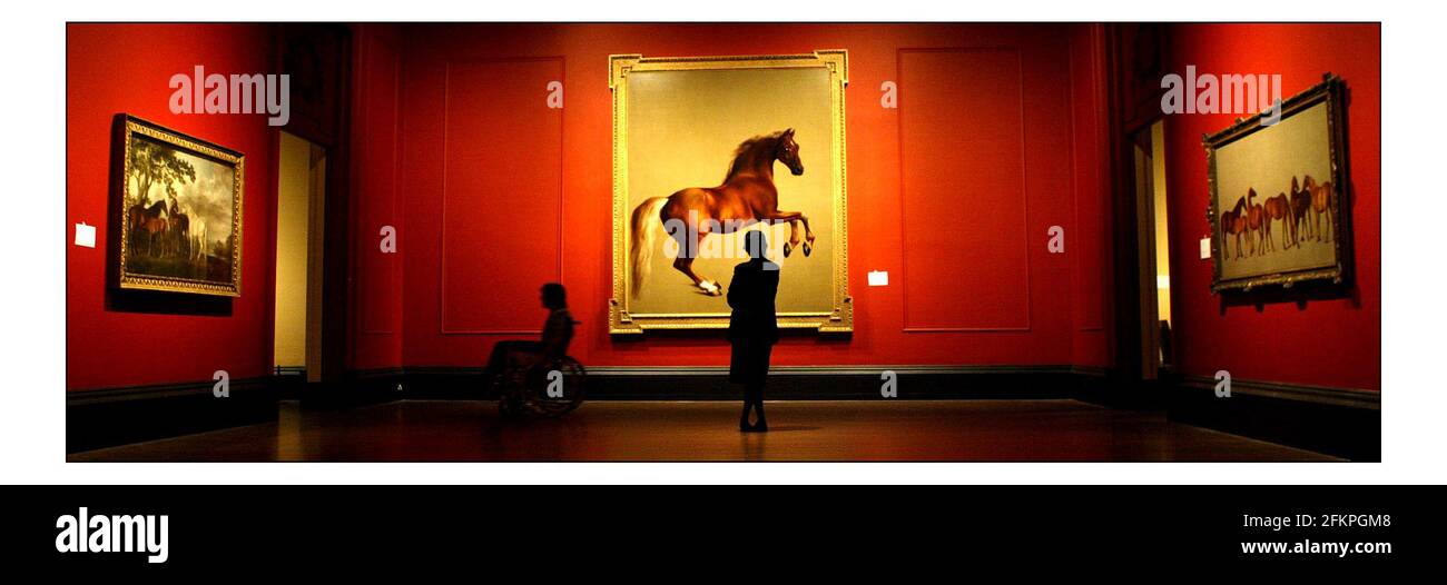 Les Stubbs et le cheval... 'Whistlewant' (peinture centrale) par George Stubbs dans l'aile Sainsbury de la Galerie nationale..29 juin - 25 septembre..pic David Sandison 20/6/2005 Banque D'Images