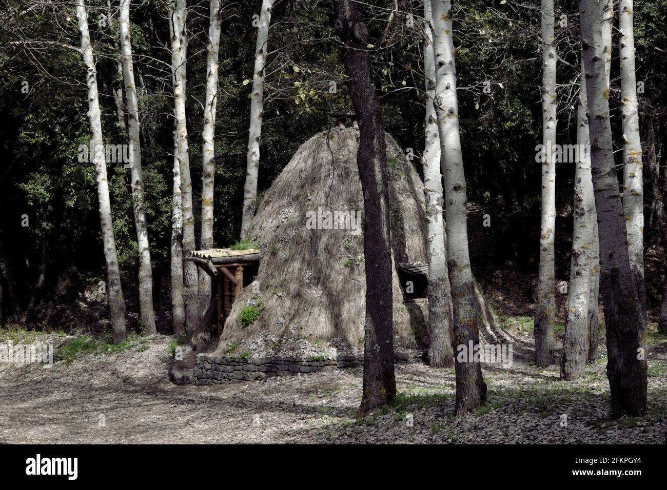 Culture traditionnelle en Sicile ancien refuge de bergers ou de charbon de bois brûleurs en forme de cône entre les arbres sur les montagnes De l'Etna Park Banque D'Images