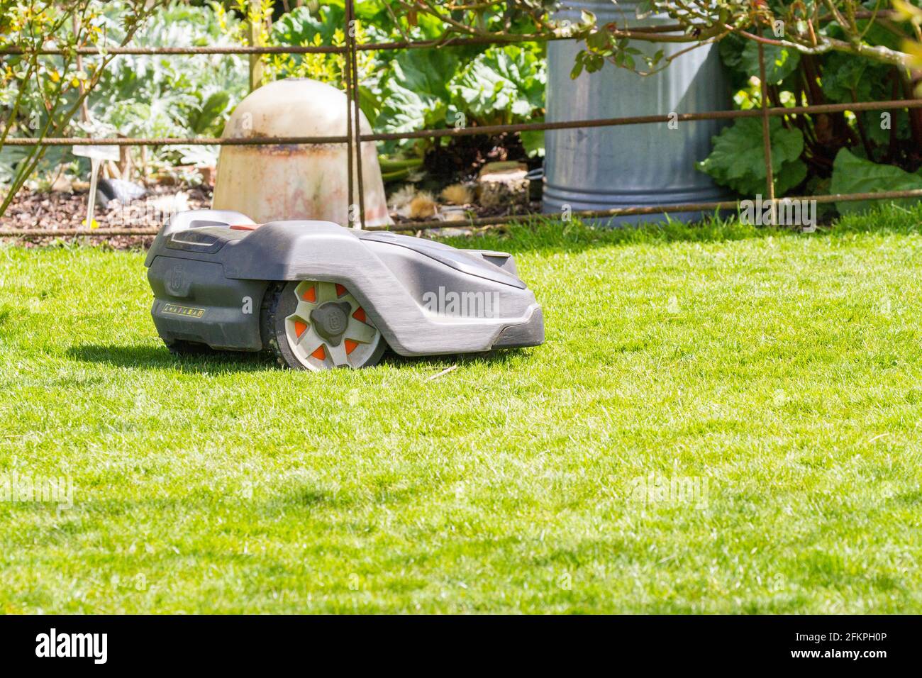 Robot de tonte automatique Husqvarna utilisé dans un Jardin anglais de campagne tonant et coupant une pelouse d'herbe Banque D'Images