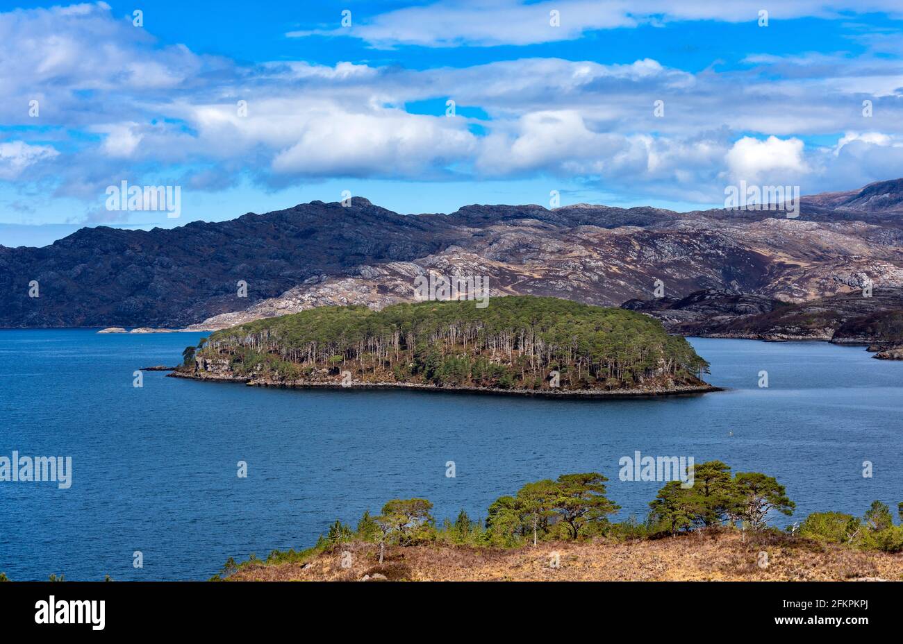 SHIELDAIG WESTER ROSS HIGHLANDS ECOSSE VUE PRINTANIÈRE SUR LE LOCH SHIELDAIG AVEC L'ÎLE COUVERTE D'ARBRES FIR Banque D'Images