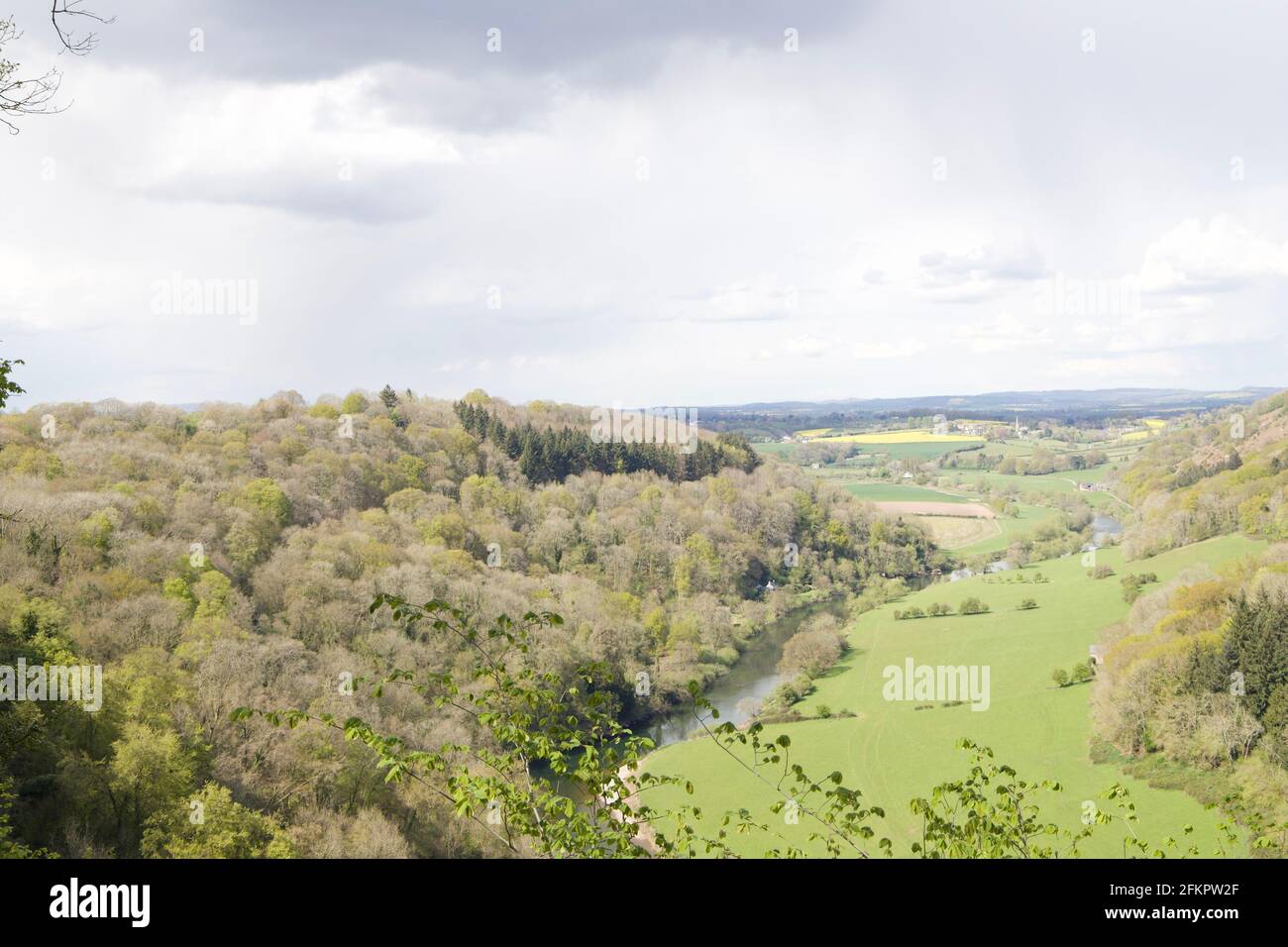 Forêt de Dean Paysage du point de vue Banque D'Images