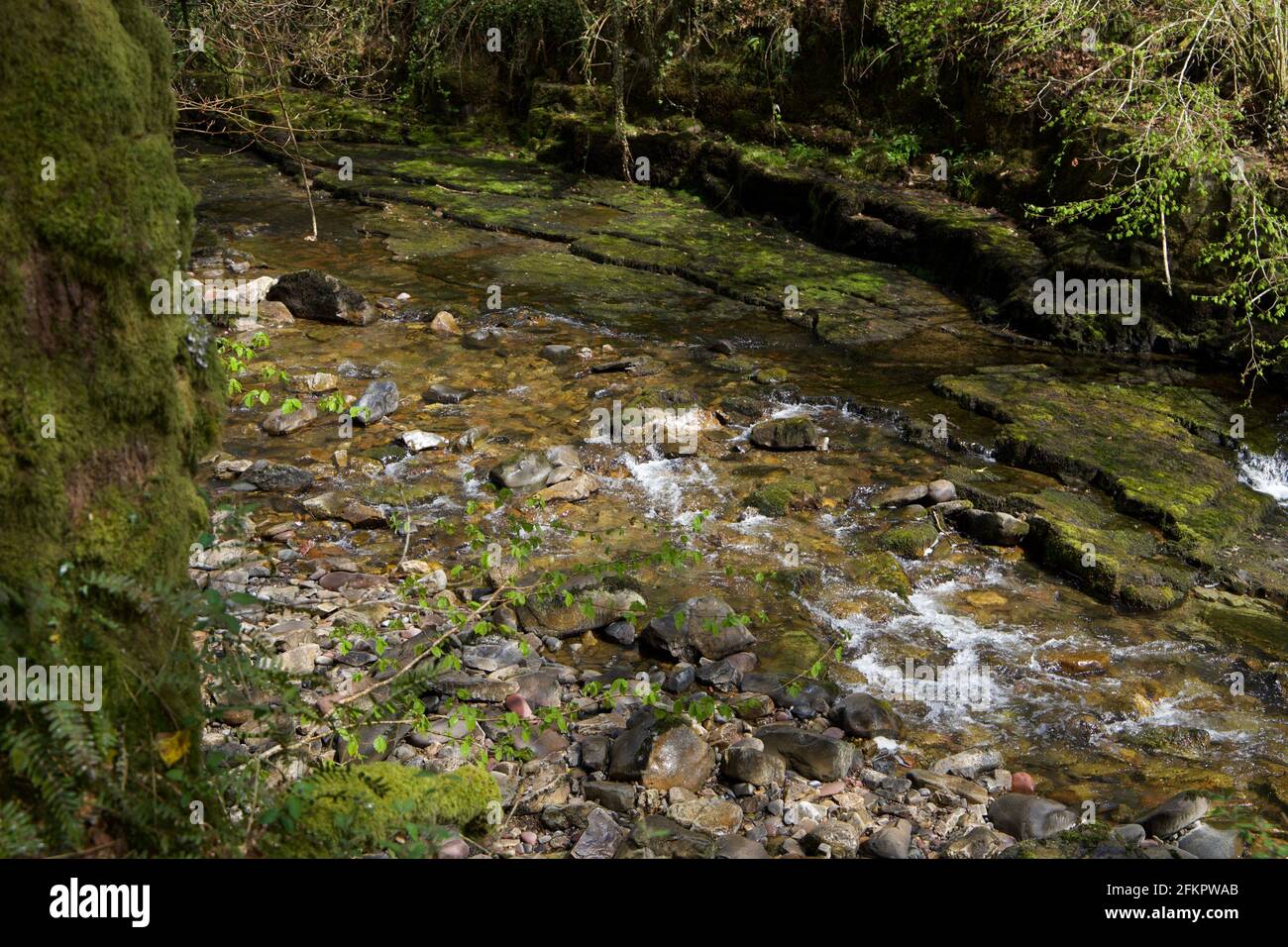 Rivière peu profonde et claire dans la campagne galloise Banque D'Images