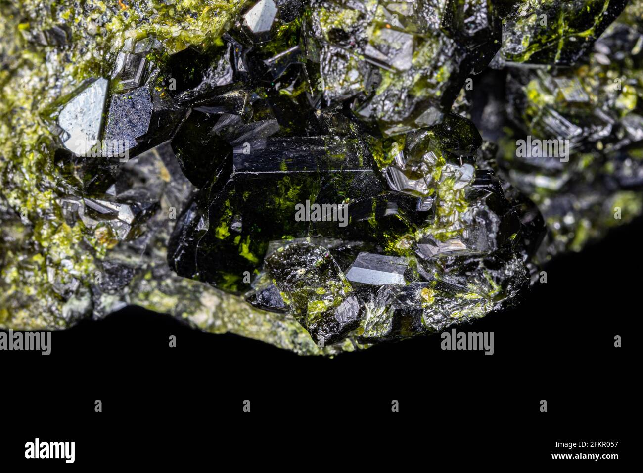 Gros plan du groupe de cristaux épidotes. Spécimen noir et vert plus grand, entouré de cristaux plus petits. Du Pakistan. Banque D'Images