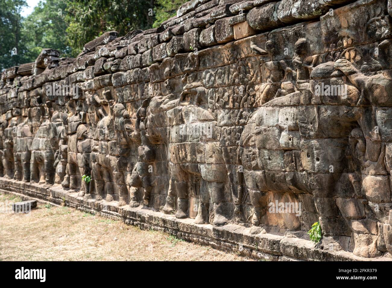 Bas-relief des éléphants, Elephant Terrace, Angkor Thom, Parc archéologique d'Angkor, Siem Reap, Cambodge Banque D'Images