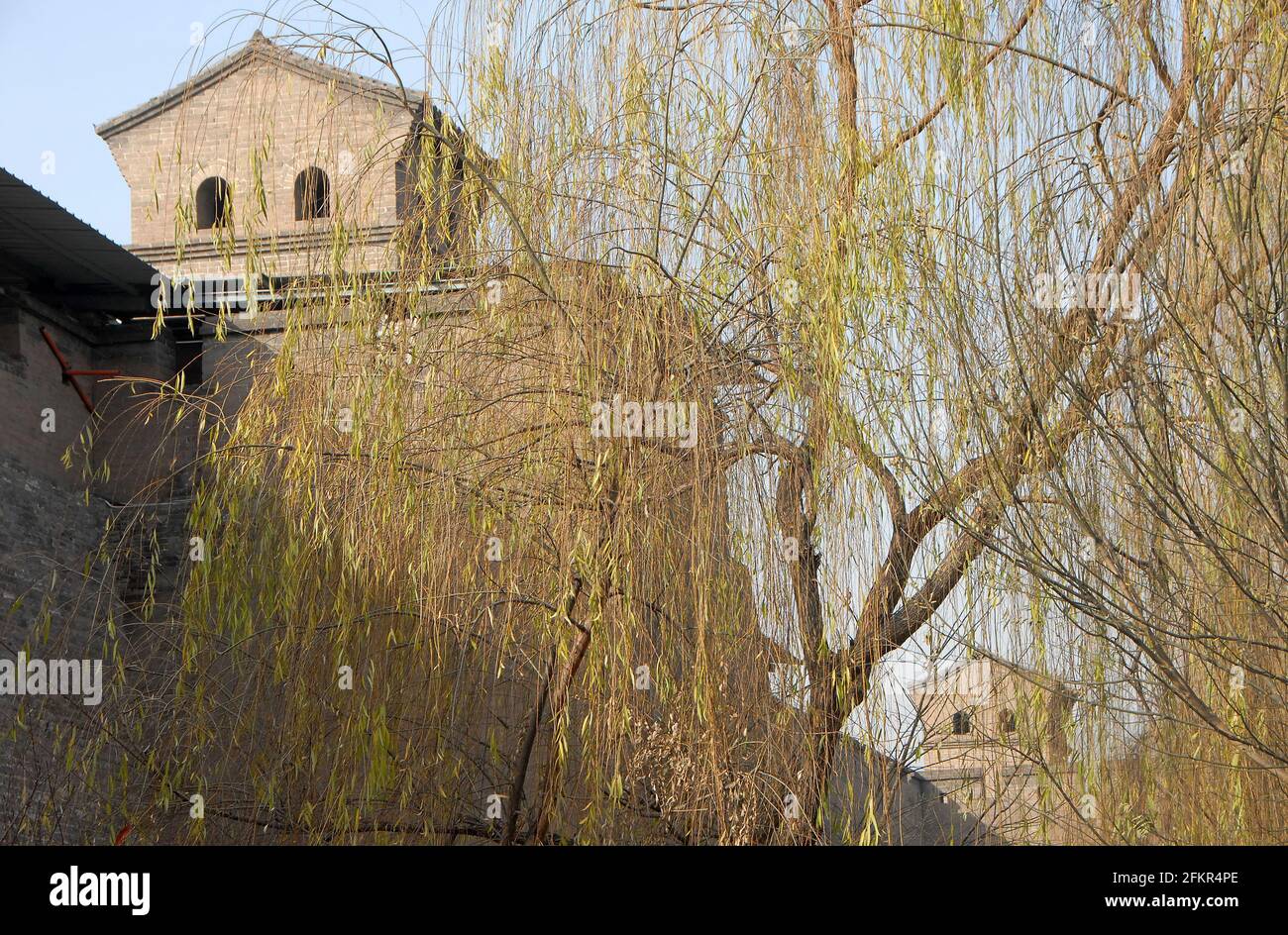 Pingyao dans la province du Shanxi, Chine. Mur de la ville de Pingyao et tours de guet vus à travers des arbres de saule depuis le parc à côté de l'ancien mur. Banque D'Images