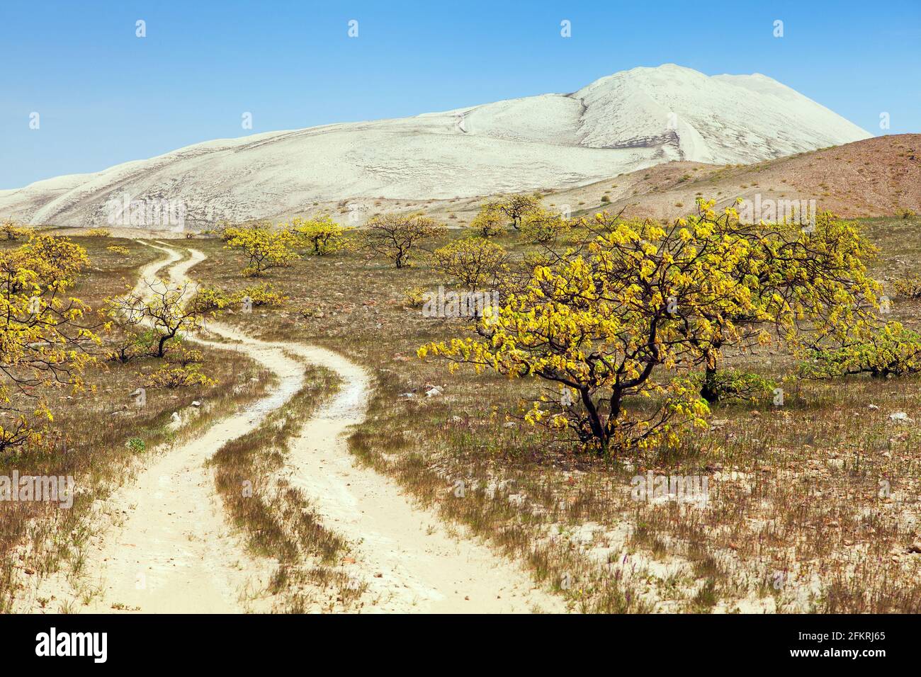 Cerro Blanco sable dunaire et chemin de l'unfinisseur, les plus hautes dunes du monde, situé près de la ville de Nasca ou Nazca au Pérou Banque D'Images