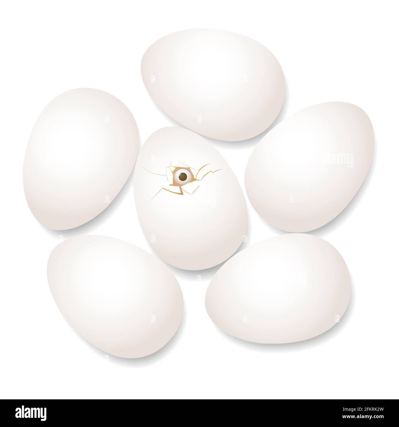 Le poulet à couver piquant hors de la coquille d'œuf brisée, entouré d'œufs intacts. Symbole de courage, de grain, de courage, de courage, de hâte, pressé ou hâté. Banque D'Images