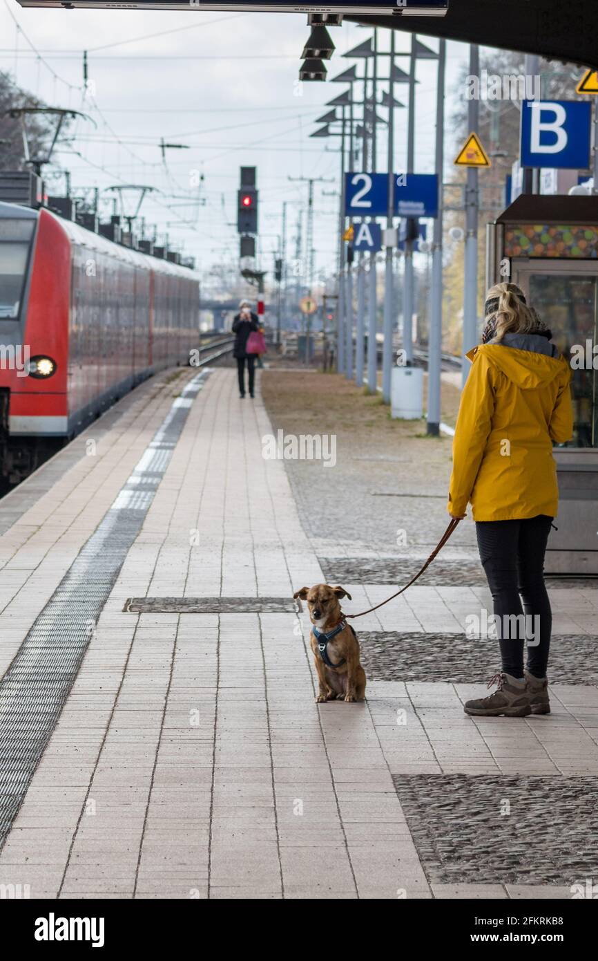 femme et chien attendent le train Banque D'Images