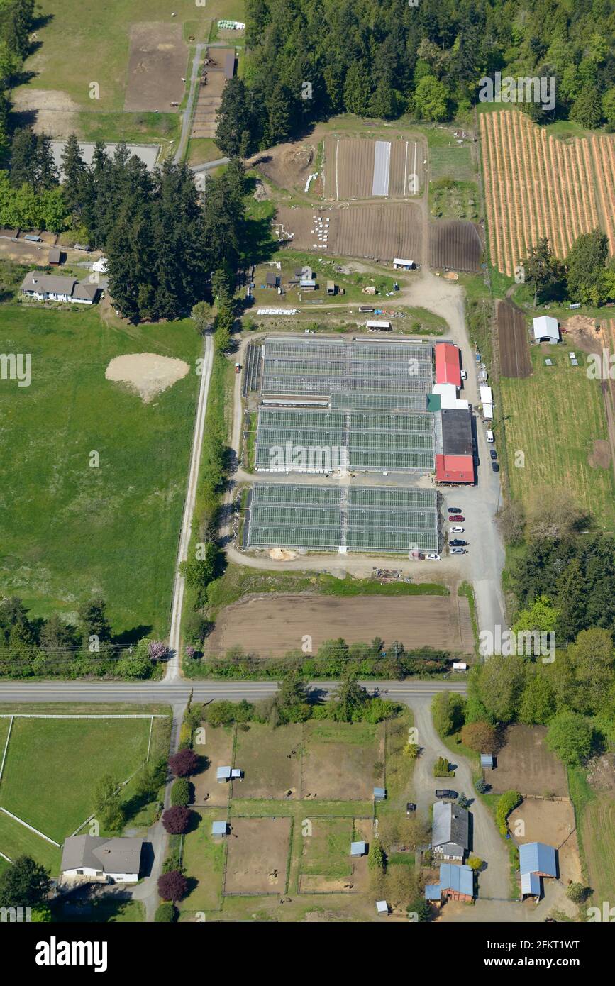 Photo aérienne de serres à Saanich, île de Vancouver, Colombie-Britannique Banque D'Images