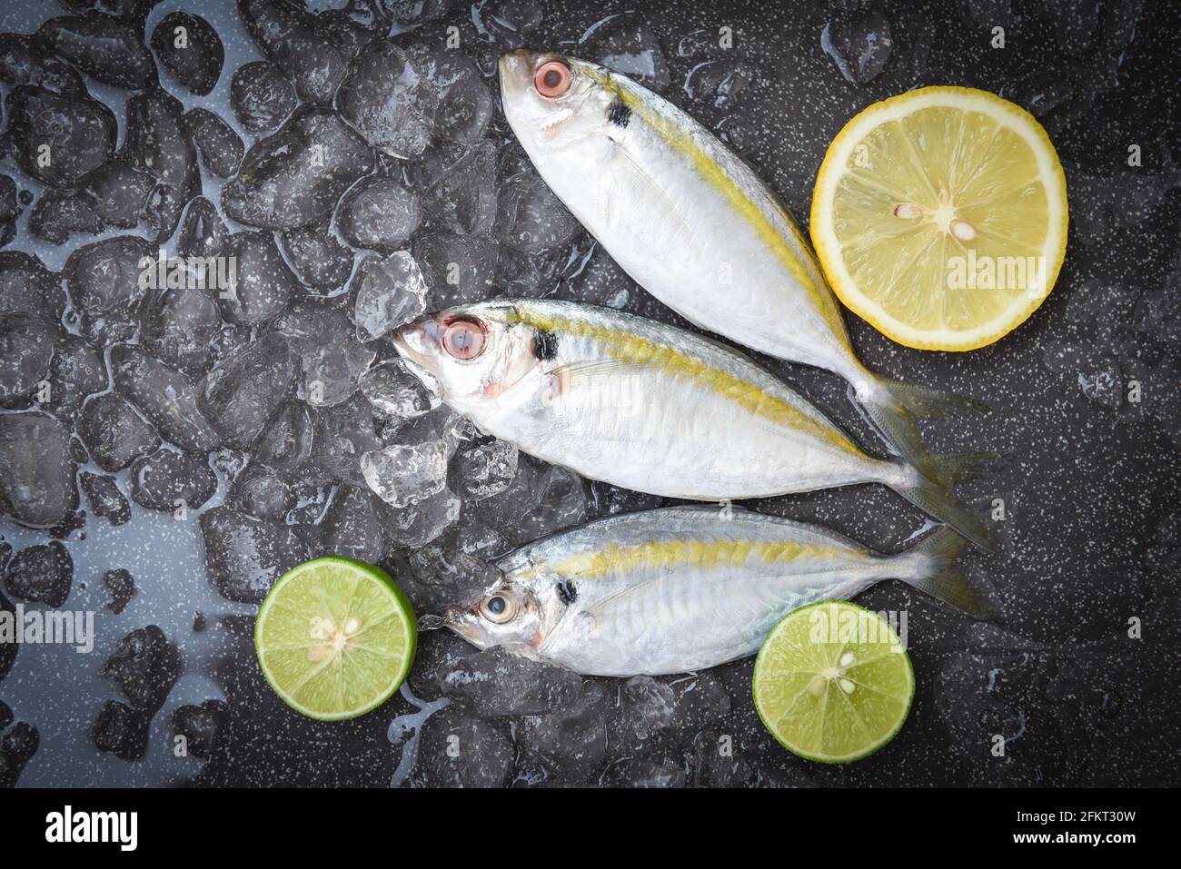 Maquereau poisson sur glace pour cuisiner dans le restaurant, poisson frais brut rayures jaunes scad au citron, vue du dessus Banque D'Images