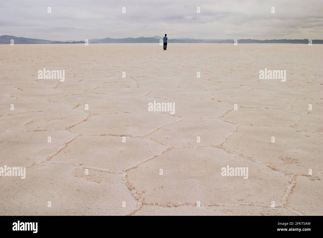 Personne à salt flat, looking at view, vue arrière, Salar de Arizaro, Province de Salta, Argentine Banque D'Images