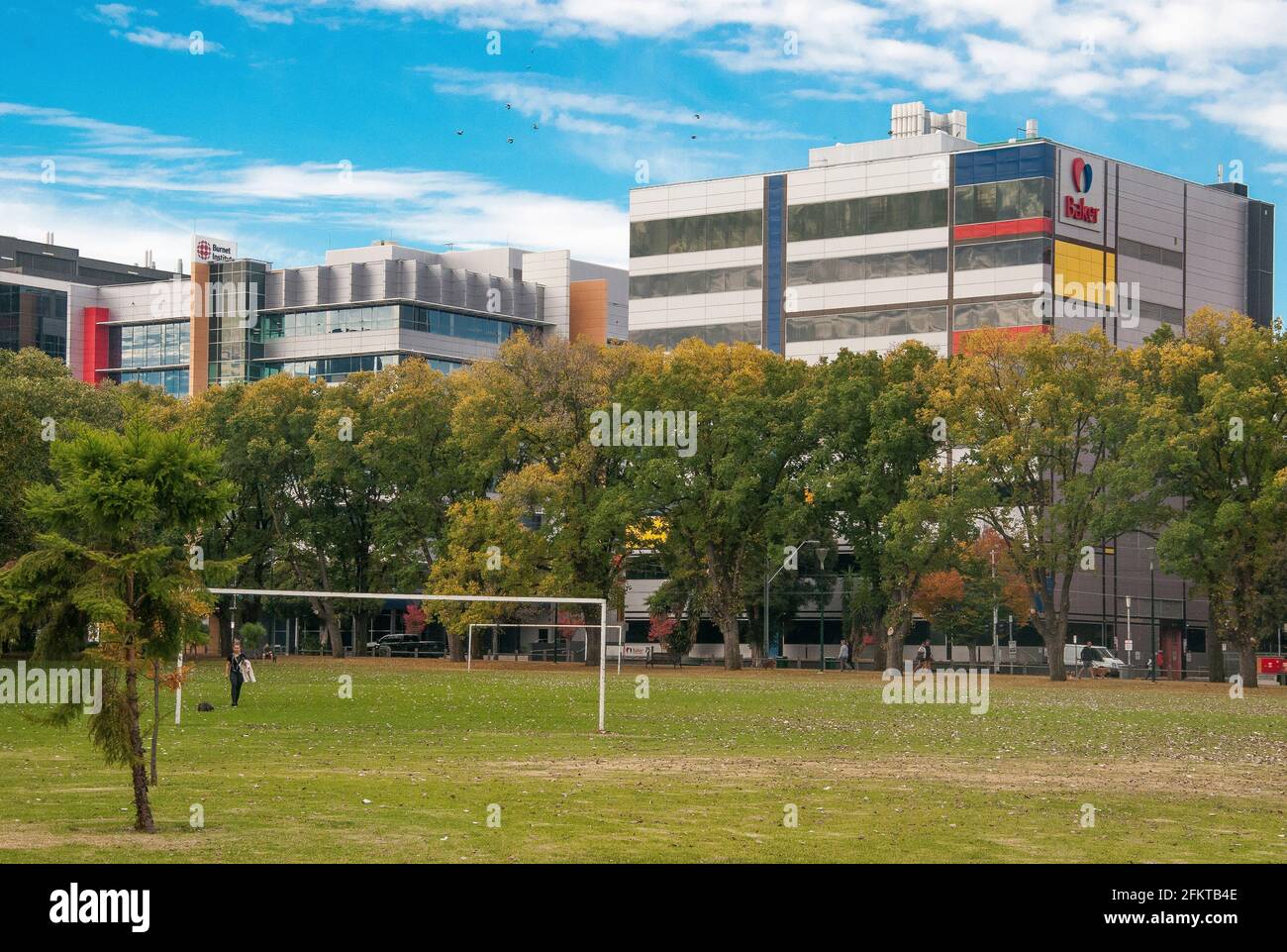 Baker et Burnett Institute dans le quartier médical Alfred Research Alliance de Melbourne, vu de l'autre côté du parc Fawkner Banque D'Images