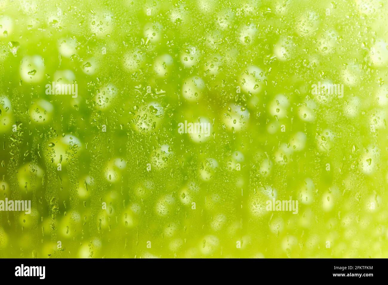 Arrière-plan abstrait, vert brillant dans les gouttes de pluie derrière le verre humide Banque D'Images