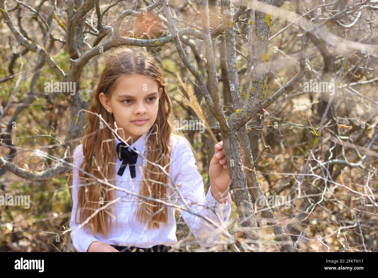 Une fille dans une chemise blanche et un noeud papillon autour de son cou  marche à travers la forêt de printemps, portrait gros plan Photo Stock -  Alamy