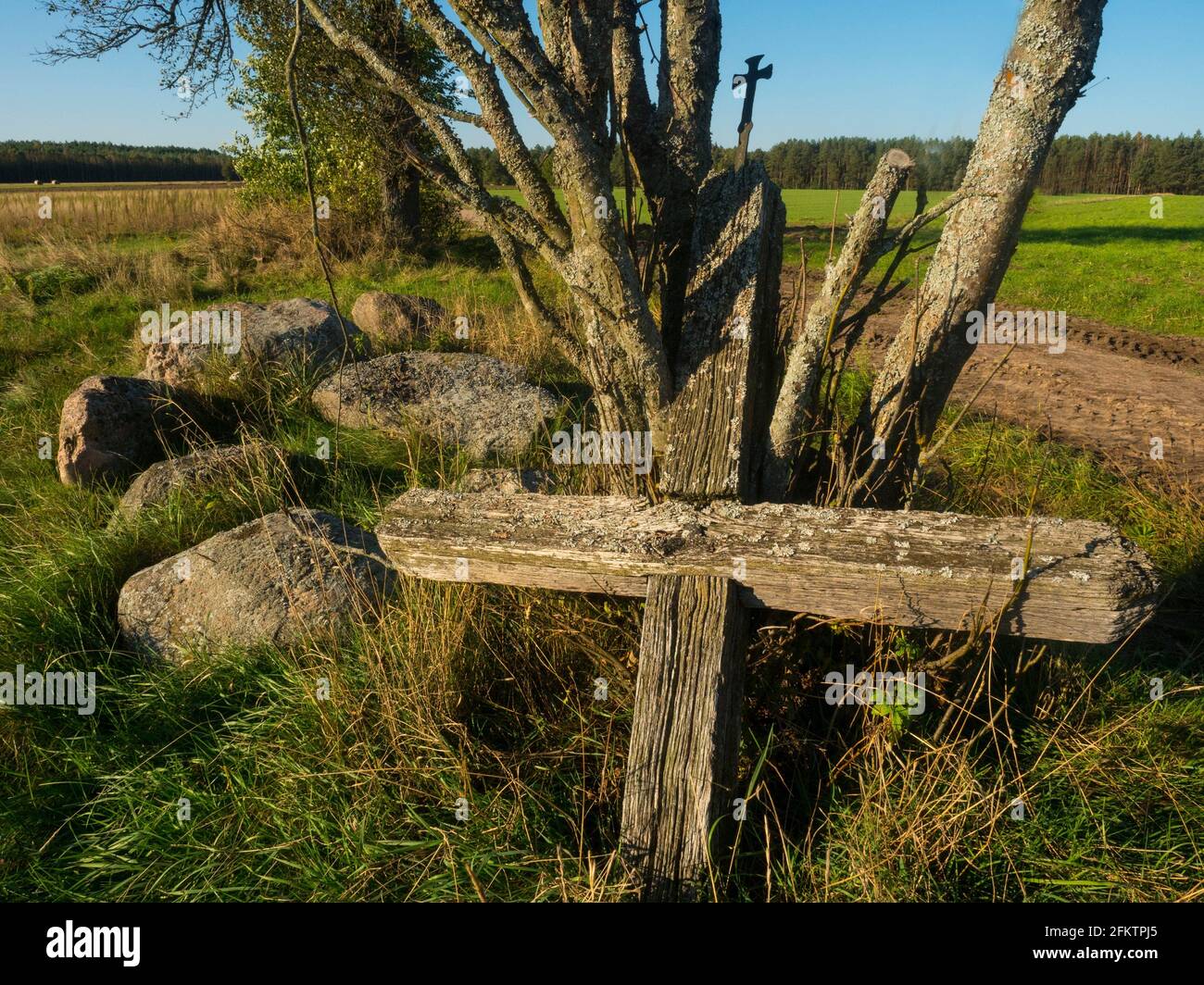 Pologne. Podlasie region.Eastern Pologne. Ancienne croix Banque D'Images
